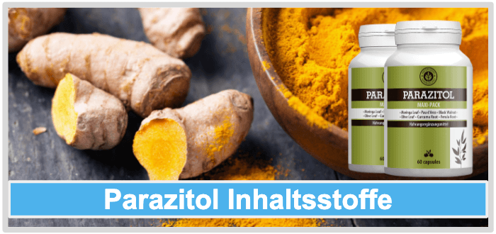 Parazitol Inhaltsstoffe Wirkung Wirkstoffe