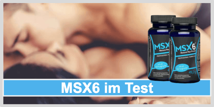MSX6 Titelbild