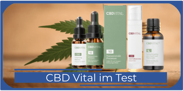 CBD Vital Titelbild