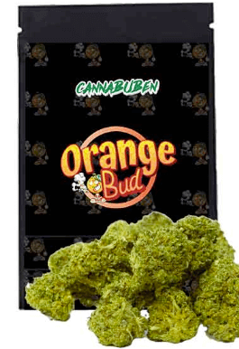 Cannabuben HHC Blueten Orange Bud Abbild Tabelle