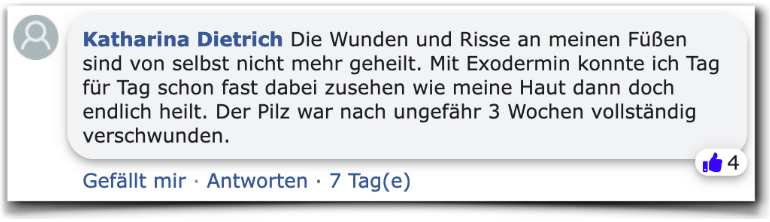 Exodermin Erfahrungsberichte Kritik Erfahrung