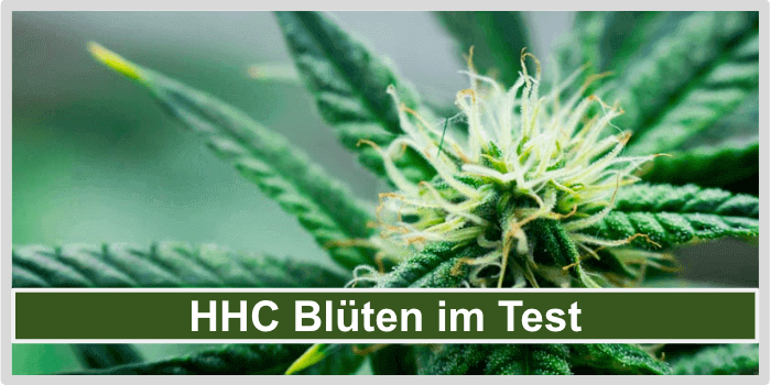 HHC Blueten Titelbild