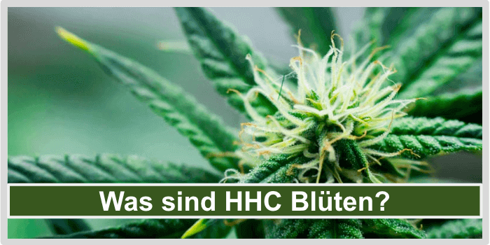 Was sind HHC Blueten