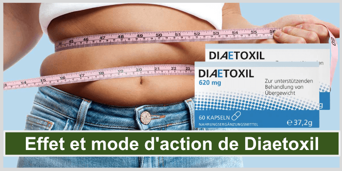 Effet et mode d'action de Diaetoxil