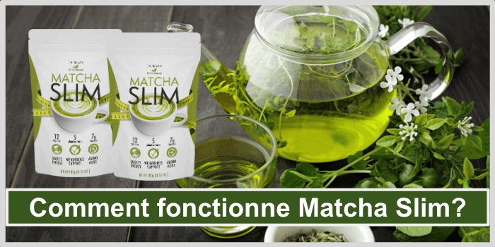 MATCHA SLIM™ - Achetez Matcha Slim chez le producteur. Remise de