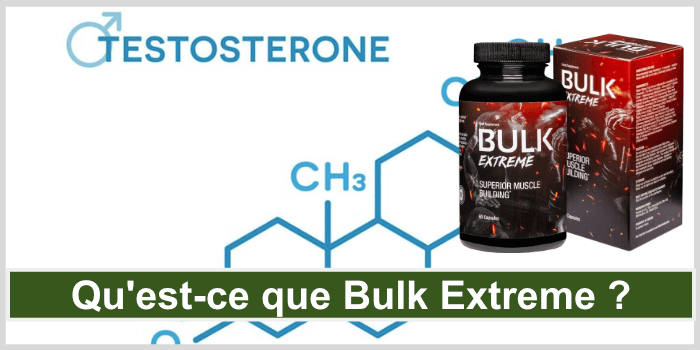 Qu'est-ce que Bulk Extreme