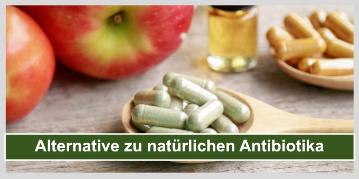 natürliches Antibiotikum alternative