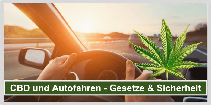 CBD und Autofahren Sicherheit Gesetze Fahrfaehigkeit Titelbild