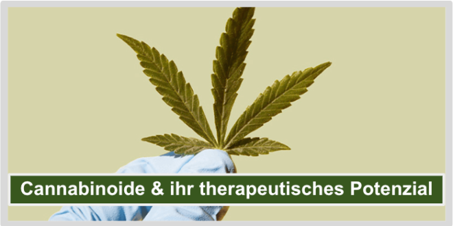 Cannabinoide therapeutisches Potenzial Titelbild