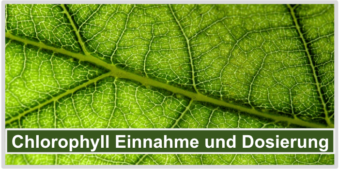 Chlorophyll Einnahme Bild