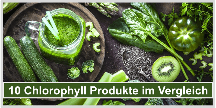 Chlorophyll Vergleich Test Titelbild