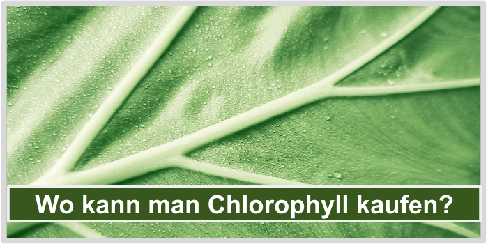 Chlorophyll kaufen Bild