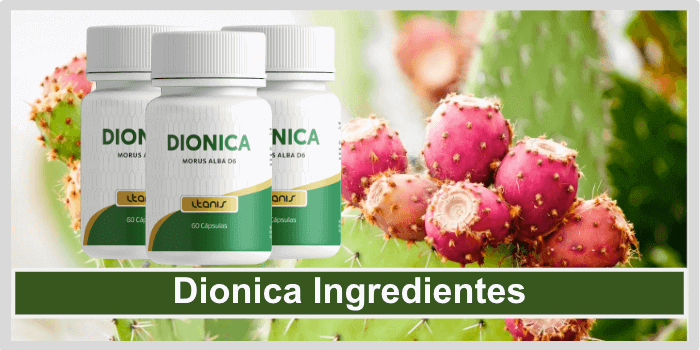 Dionica Ingredientes