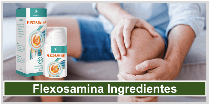 Flexosamine Ingredientes