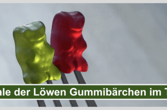 Hoehle der Loewen Gummibaerchen Titelbild