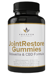 JointRestore Gummies Image