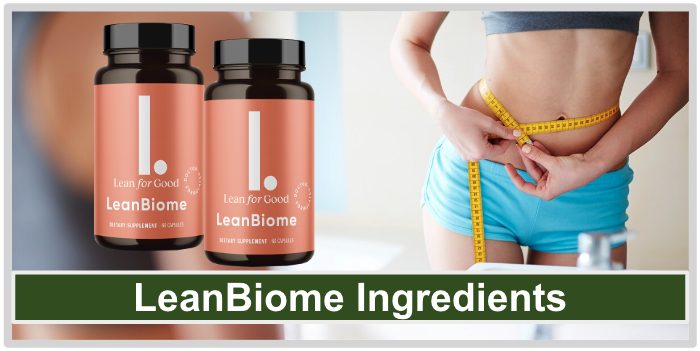 LeanBiome Ingredients
