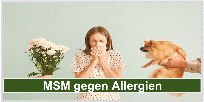 MSM Allergien Bild