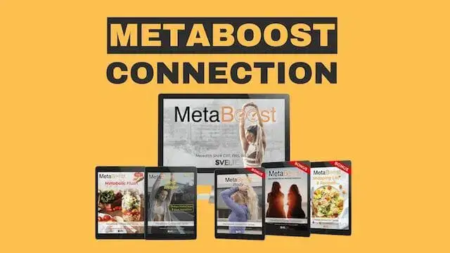 MetaBoost Connection