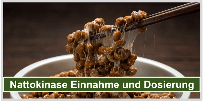 Nattokinase Produktvergleich Einnahme und Dosierung