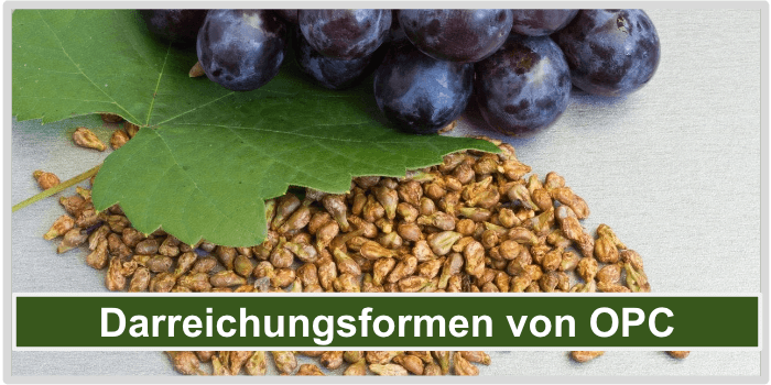 Traubenextrakt Darreichungsformen Bild