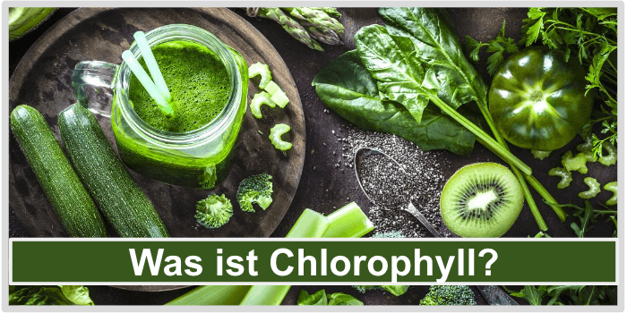 Was ist Chlorophyll Bild