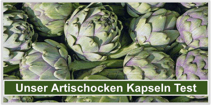 Artischocken Kapseln Test Bild