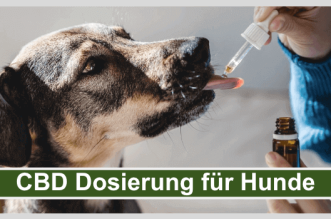 CBD Dosierung fuer Hunde Titelbild