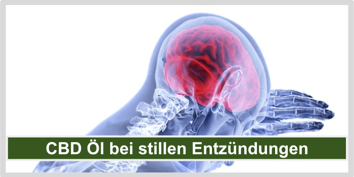 CBD Oel bei stillen Entzuendungen Titelbild