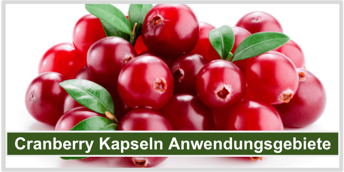 Cranberry Kapseln Anwendungebiete Bild