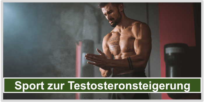 Sport Testosteron kaufen Bild