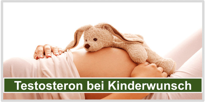 Testosteron Kinderwunsch Bild