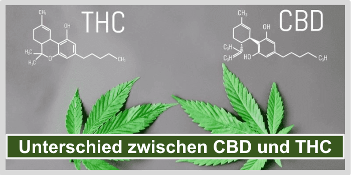 Unterschied zwischen CBD und THC Titelbild