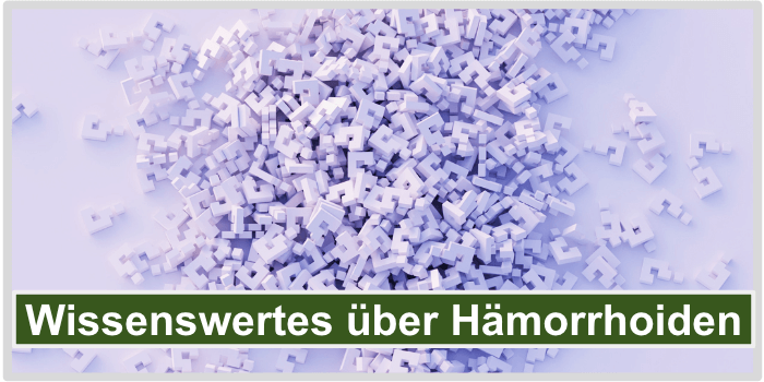 Wissenswertes Hämorrhoiden Bild