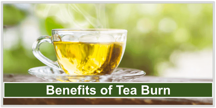 Benefits of Tea Burn