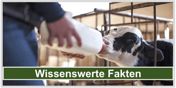 Colostrum Fakten Bild