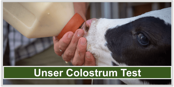 Colostrum Test Bild