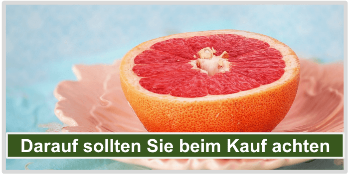 Darauf beim Kauf achten Bild