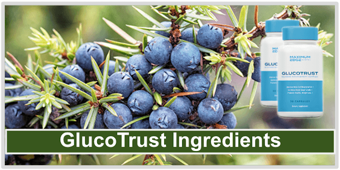 GlucoTrust Ingredients