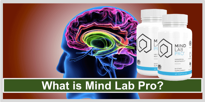 What is Mind Lab Pro