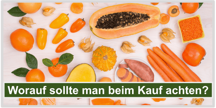 Worauf beim Kauf achten Bild